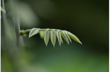 Image of Pentax HD-D FA Macro F2.8ED AW Camera Lenses, 100mm, Black, 20320