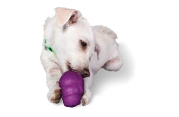 Image of Petsafe Busy Buddy Squirrel Dude, Purple, Xsmall, PTY00-13746