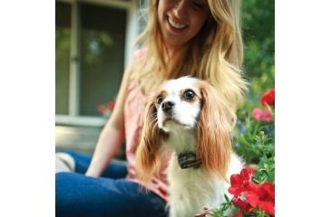 Image of Petsafe Elite Little Dog In-Ground Fence Receiver w/Collar, For Dogs 5lbs and Up/Fits Neck Size 6-16in PIG19-11042