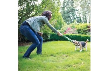 Image of Petsafe Elite Little Dog In-Ground Fence Receiver w/Collar, For Dogs 5lbs and Up/Fits Neck Size 6-16in PIG19-11042