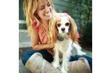 Image of Petsafe Elite Little Dog In-Ground Fence Receiver w/Collar, For Dogs 5lbs and Up/Fits Neck Size 6-16in PIG19-11042