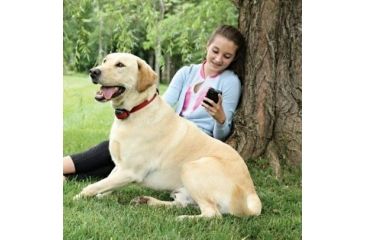 Image of Petsafe Stubborn Dog Wireless Receiver Collar, For Dogs 5lbs and Up/Fits Neck size 6-28in, Red PIF00-13672