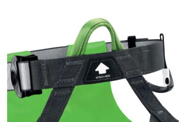 Image of Petzl Canyon Club Harness, C086AA00