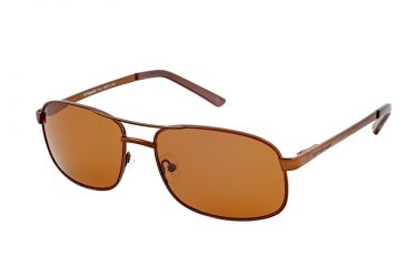 Image of Polaroid Cody Bifocal Sunglasses, Brown Frame PDP9107YBF