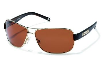 Image of Polaroid Miguel Bifocal Sunglasses, Gold Frame PDX4115ZBF