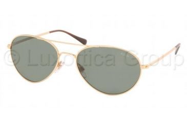 Image of Polo PH3019 Progressive Sunglasses, Shiny Gold Frame / 56 mm Prescription Lenses, 900471-5617