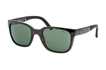 Image of Polo PH4089 Sunglasses 500371-54 - Dark Havana Frame, Gray Green Lenses