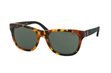Image of Polo PH4091 Bifocal Prescription Sunglasses PH4091-550171-55 - Lens Diameter 55 mm, Frame Color Vintage Tokio Tortoise