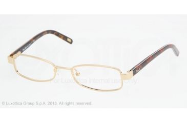 Image of Polo PP8023 Eyeglass Frames 106-47 - Gold Frame