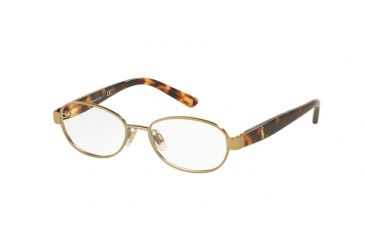 Image of Polo PP8037 Bifocal Prescription Eyeglasses 3182-45 - Satin Gold/Tortoise Frame