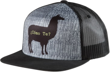 Image of prAna Journeyman Trucker Hat - Men's-Black-One Size
