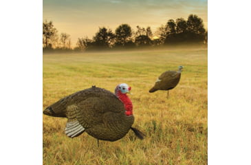 Image of Primos Hunting Gobbstopper Jake Turkey Decoy, Box, 69066