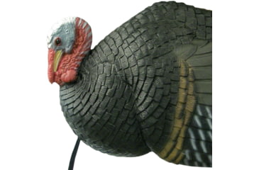 Image of Primos Hunting Killer B Turkey Decoy, Box, 69021