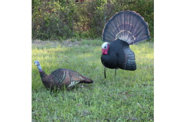 Image of Primos Hunting Killer B Turkey Decoy, Box, 69021