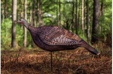 Image of Primos Hunting Photoform Hen Decoy, Box, 69068