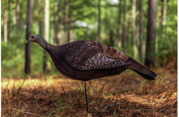Image of Primos Hunting Photoform Hen Decoy, Box, 69068