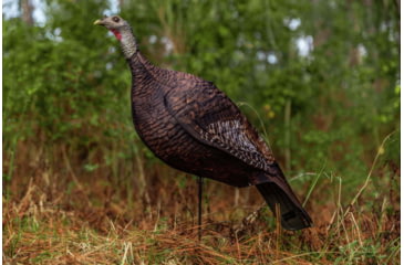 Image of Primos Hunting Photoform Hen Decoy, Box, 69068