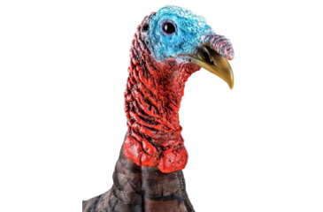 Image of Primos Hunting Photoform Jake Decoy, Box, 69069