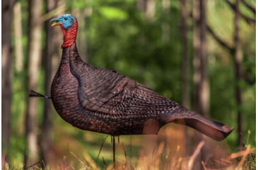 Image of Primos Hunting Photoform Jake Decoy, Box, 69069