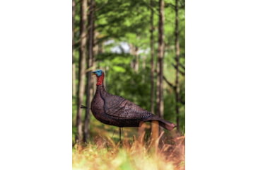 Image of Primos Hunting Photoform Jake Decoy, Box, 69069