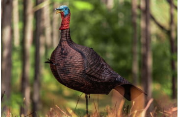 Image of Primos Hunting Photoform Jake Decoy, Box, 69069