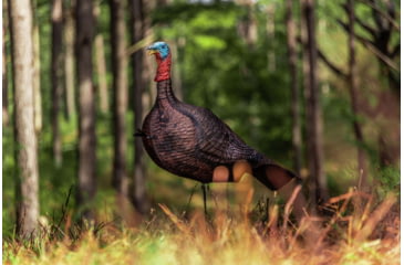 Image of Primos Hunting Photoform Jake Decoy, Box, 69069