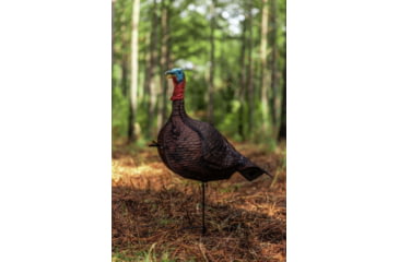Image of Primos Hunting Photoform Jake Decoy, Box, 69069