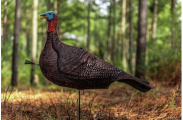 Image of Primos Hunting Photoform Jake Decoy, Box, 69069