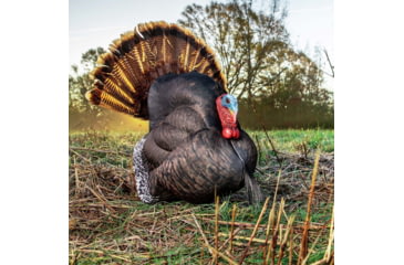 Image of Primos Hunting Photoform Strutter Turkey Decoy, Box, 69072