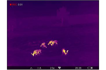 Image of OpticsPlanet Exclusive Refurbished, Pulsar 2.5-20x Helion 2 XP50 2.5-20 Thermal Monocular,17mm, 640x480px, Black, PL77402