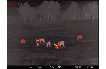 Image of OpticsPlanet Exclusive Refurbished, Pulsar 2.5-20x Helion 2 XP50 2.5-20 Thermal Monocular,17mm, 640x480px, Black, PL77402