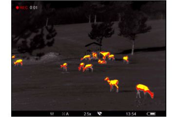 Image of OpticsPlanet Exclusive Refurbished, Pulsar 2.5-20x Helion 2 XP50 2.5-20 Thermal Monocular,17mm, 640x480px, Black, PL77402