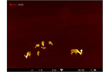 Image of OpticsPlanet Exclusive Refurbished, Pulsar 2.5-20x Helion 2 XP50 2.5-20 Thermal Monocular,17mm, 640x480px, Black, PL77402