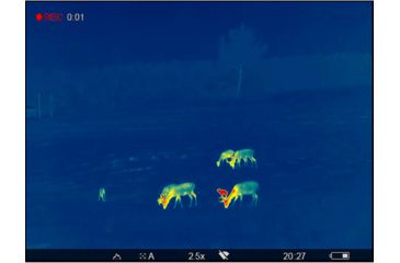 Image of OpticsPlanet Exclusive Refurbished, Pulsar 2.5-20x Helion 2 XP50 2.5-20 Thermal Monocular,17mm, 640x480px, Black, PL77402