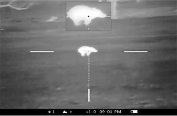 Image of Demo,Pulsar Apex XD38A Thermal Rifle Scope PL76416-DEMO