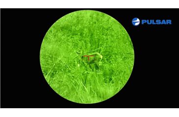 Image of Pulsar Phantom 4x60 Gen. 3 Night Vision Goggles PL76076T