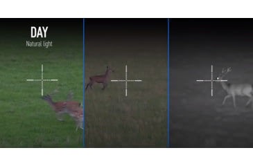 Image of Pulsar Digex C50 Night Vision Rifle Scope, 3.5-14x30mm, w/Pulsar Digex-X850S IR Illuminator, Black, PL76635L