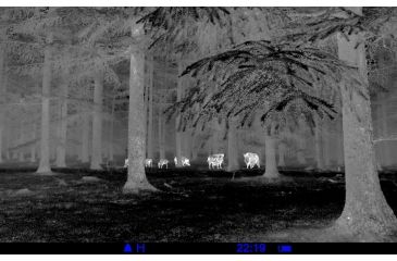 Image of Demo,Pulsar Quantum XD19A 1-4x16 Thermal Imaging Monocular, Matte Black, PL77318-DEMO