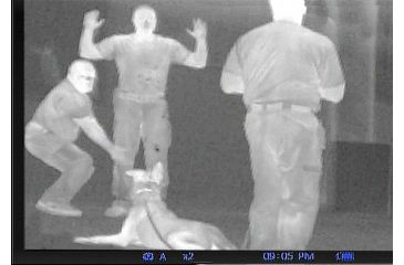 Image of Demo,Pulsar Quantum XD19A 1-4x16 Thermal Imaging Monocular, Matte Black, PL77318-DEMO