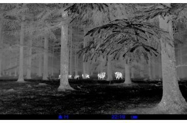 Image of Pulsar Quantum XD38A 2-8x32 Thermal Imaging Monocular, Black, PL77319