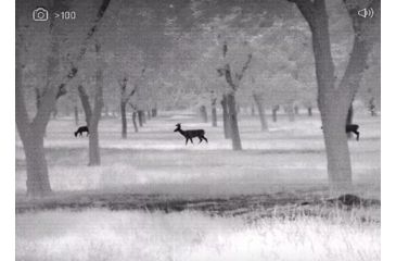 Image of OpticsPlanet Exclusive Refurbished, Pulsar Thermion XQ38 Thermal Rifle Scope, 2.5 - 10x, 51.6 ft, Black, PL76522