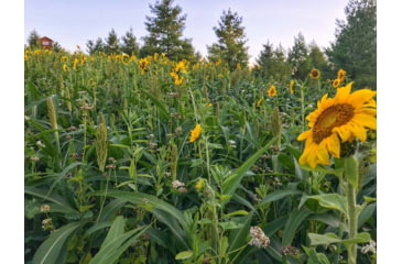 Image of RaKK Fuel Hunters Haven 1/4 Acre, Large, 7522