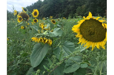 Image of RaKK Fuel Hunters Haven 1/4 Acre, Large, 7522