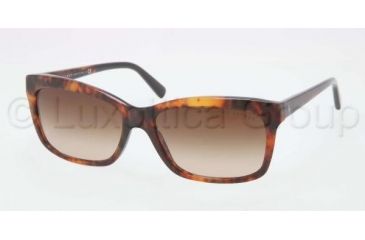 Image of Ralph Lauren RL8093 Progressive Prescription Sunglasses RL8093-538613-5616 - Lens Diameter 56 mm, Frame Color Havana