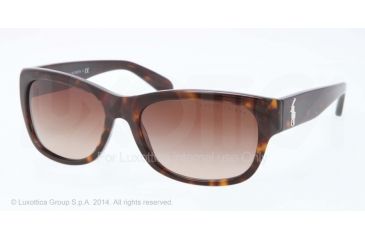 Image of Ralph Lauren RL8106 Progressive Prescription Sunglasses RL8106-500313-56 - Lens Diameter 56 mm, Frame Color Dark Havana