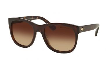 Image of Ralph Lauren RL8141 Sunglasses 50033B-60 - Dark Havana Frame, Gradient Brown Lenses