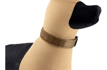 Image of Raptor Tactical K9 ODIN Collar, Coyote Brown, K9OC-CB-45