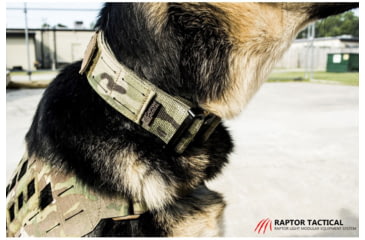 Image of Raptor Tactical K9 ODIN Collar, Multicam, K9OC-MC-45