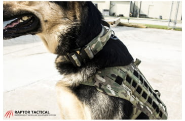 Image of Raptor Tactical K9 ODIN Collar, Multicam, K9OC-MC-45