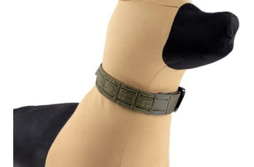 Image of Raptor Tactical K9 Odin Collar, Ranger Green, K9OC-RG-45D